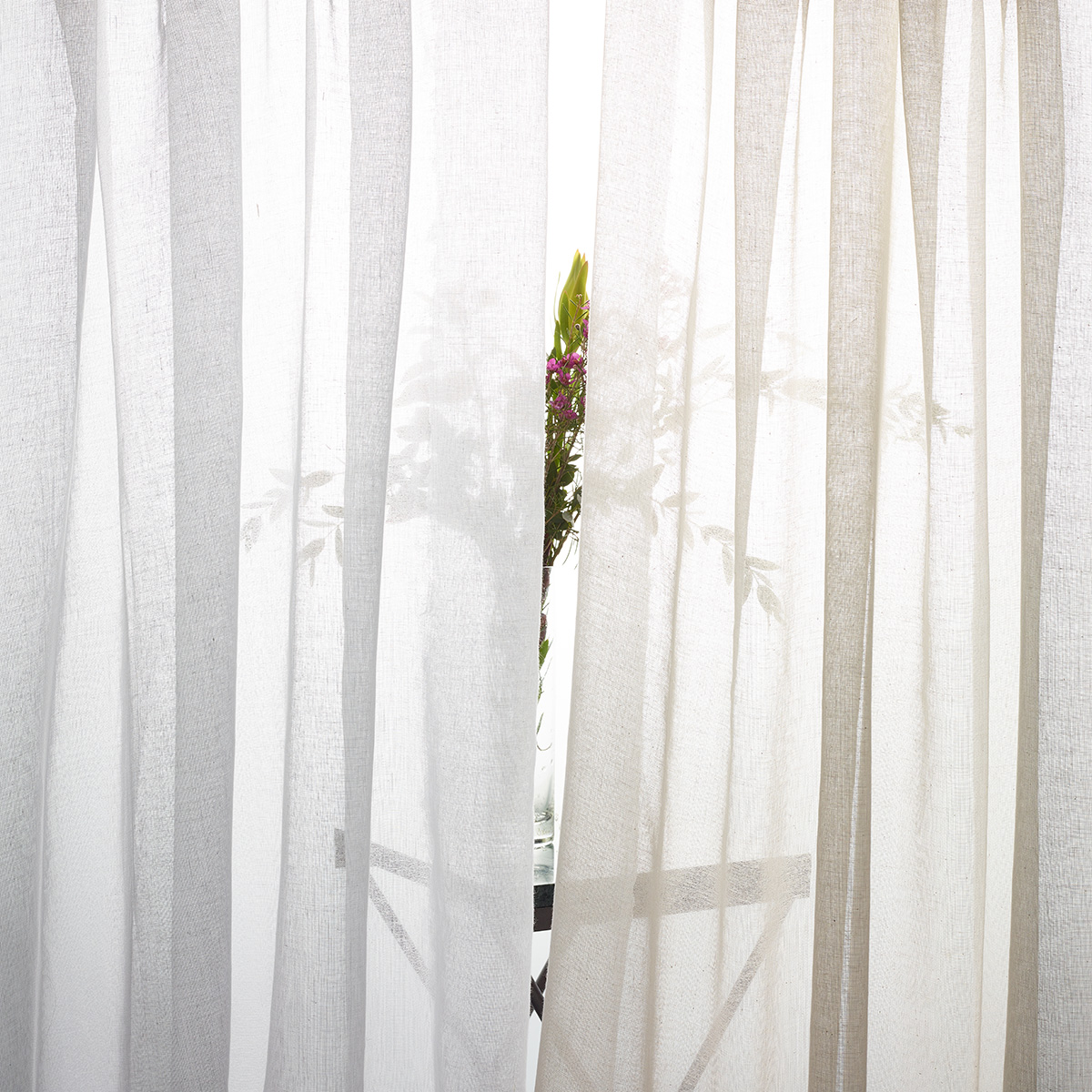 Blackout, Sheers & Drapery